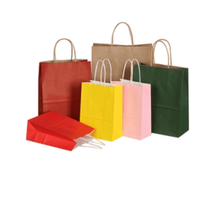 Luxury Clothing Paper Bag Cosmetics Bag Customized Portable Twist Handle Shopping Bag wholesale product image